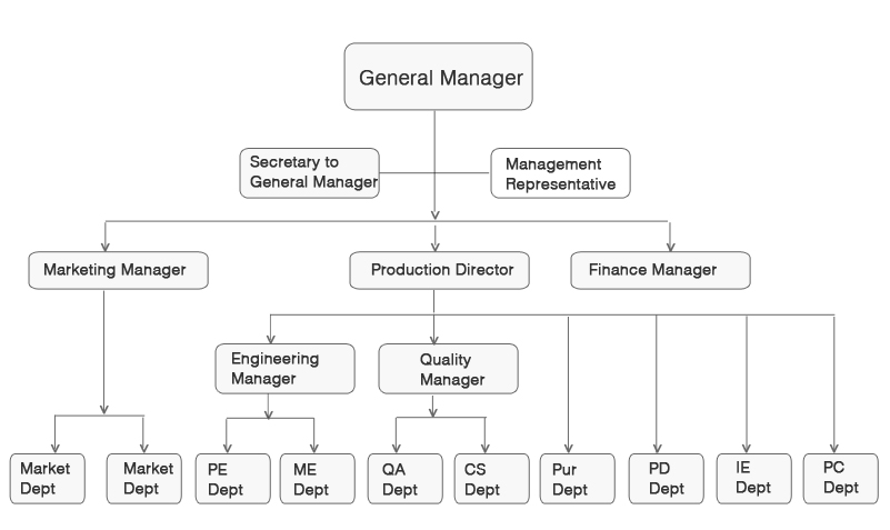 Organization Structure