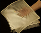 A Flexible Camera: A Radically Different Approach to Imaging