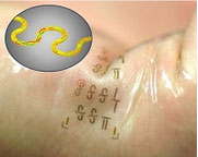 Fast, Stretchy Circuits Could Yield New Wave of Wearable Electronics