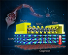 Memory for Future Wearable Electronics