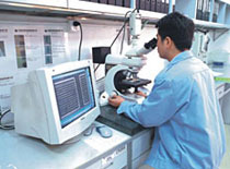 Microsection Test